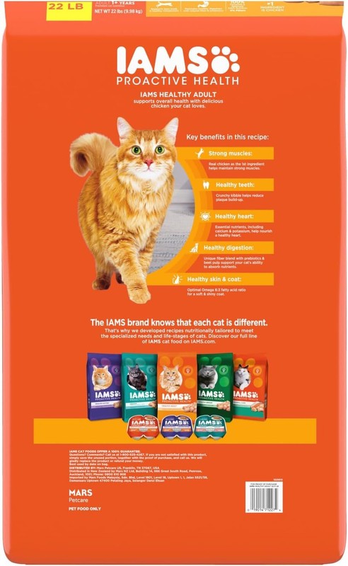 IAMS Proactive Health Healthy Adult Dry Cat Food with Chicken, 22 lb. Bag : Pet Supplies