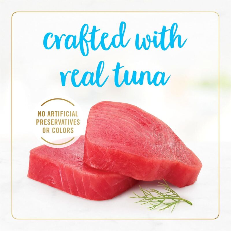 Purina Fancy Feast Delights With Cheddar Grilled Tuna and Cheddar Cheese Feast in Wet Cat Food Gravy Cat Food - (Pack of 24) 3 oz. Cans : Canned Wet Pet Food : Pet Supplies