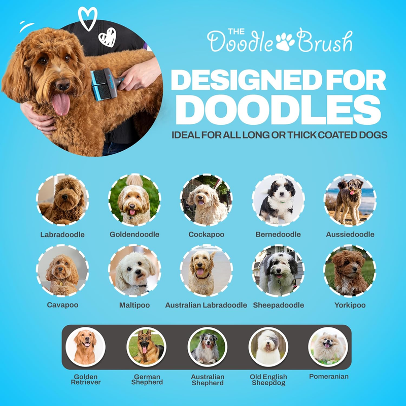 The Doodle Brush - Doodle Dog Brush, Cockapoo Goldendoodle Dog Slicker Brush, Poodle, Detangling Dog Brush, Long Haired Dog Brush (Double Head) : Pet Supplies
