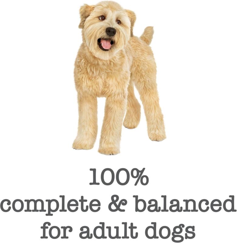 Purina Beneful Wet Dog Food Medleys Tuscan Style With Real Beef, Carrots, Tomatoes and Rice in Sauce - (Pack of 12) 3 oz. Cans: Pet Supplies: Amazon.com