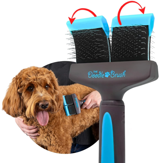 The Doodle Brush - Doodle Dog Brush, Cockapoo Goldendoodle Dog Slicker Brush, Poodle, Detangling Dog Brush, Long Haired Dog Brush (Double Head) : Pet Supplies