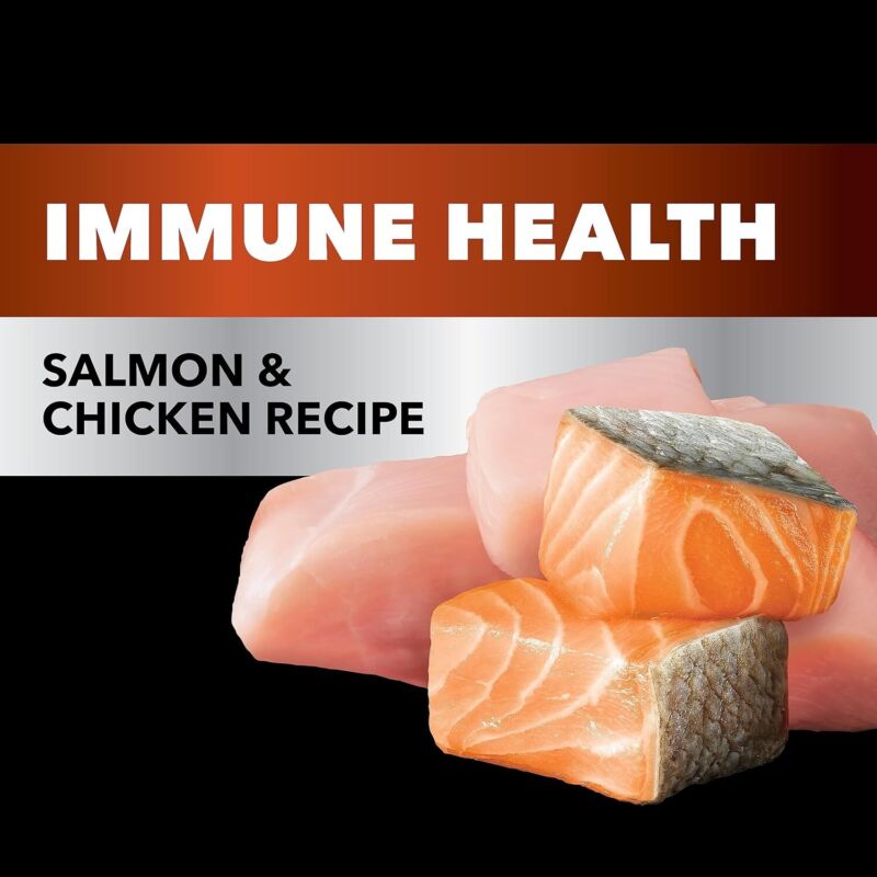 IAMS Advanced Health Immune Health Salmon and Chicken Recipe Adult Dry Cat Food, 3.5 lb. Bag : Pet Supplies