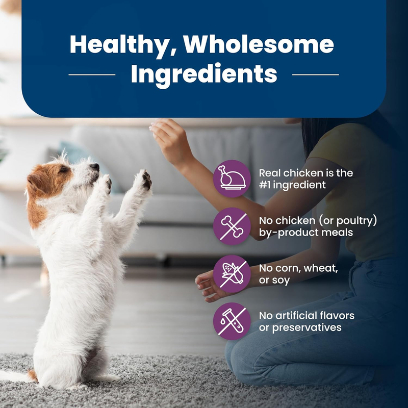 Hill's Science Diet Small & Mini, Senior Adult 7+, Small & Mini Breeds Senior Premium Nutrition, Dry Dog Food, Chicken, Brown Rice, & Barley, 4.5 lb Bag : Pet Supplies