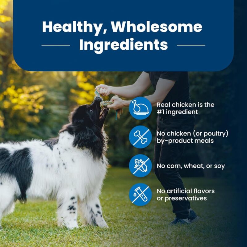 Blue Buffalo Life Protection Formula Adult Dry Dog Food, Helps Build and Maintain Strong Muscles, Made with Natural Ingredients, Chicken & Brown Rice Recipe, 5-lb. Bag : Pet Supplies