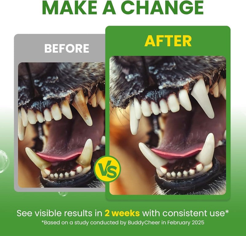 Dog Teeth Cleaning Powder, Dog Dental Powder and Cats Breath Freshener, Plaque Off Pet Tooth Cleaning lab co, Bad Breath & Tartar Remover for Dogs, Dog Teeth Cleaning with Enzymes- 60-Day Supply -Mint : Pet Supplies
