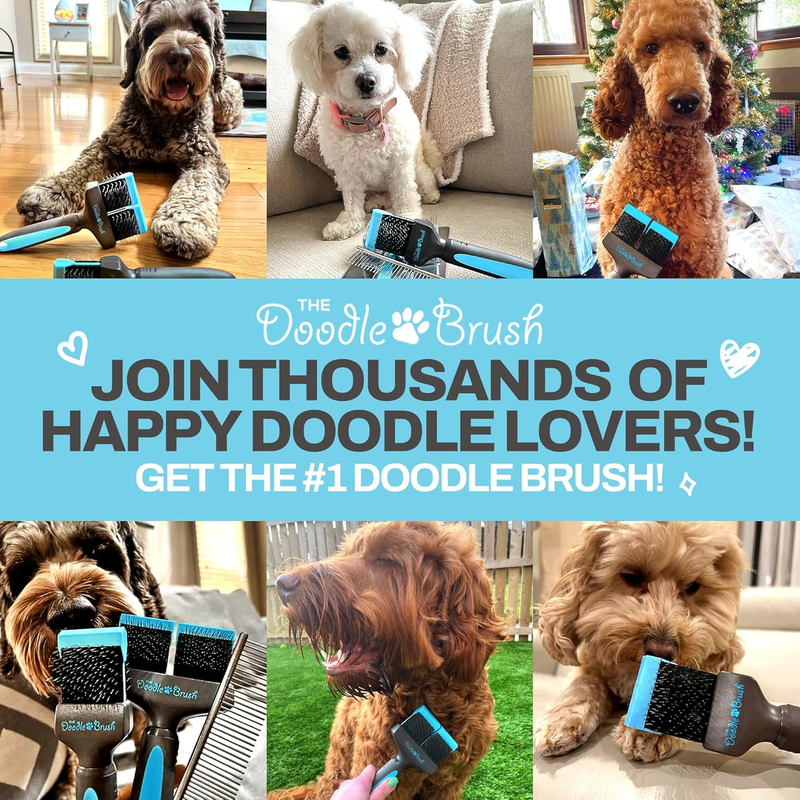 The Doodle Brush - Doodle Dog Brush, Cockapoo Goldendoodle Dog Slicker Brush, Poodle, Detangling Dog Brush, Long Haired Dog Brush (Double Head) : Pet Supplies