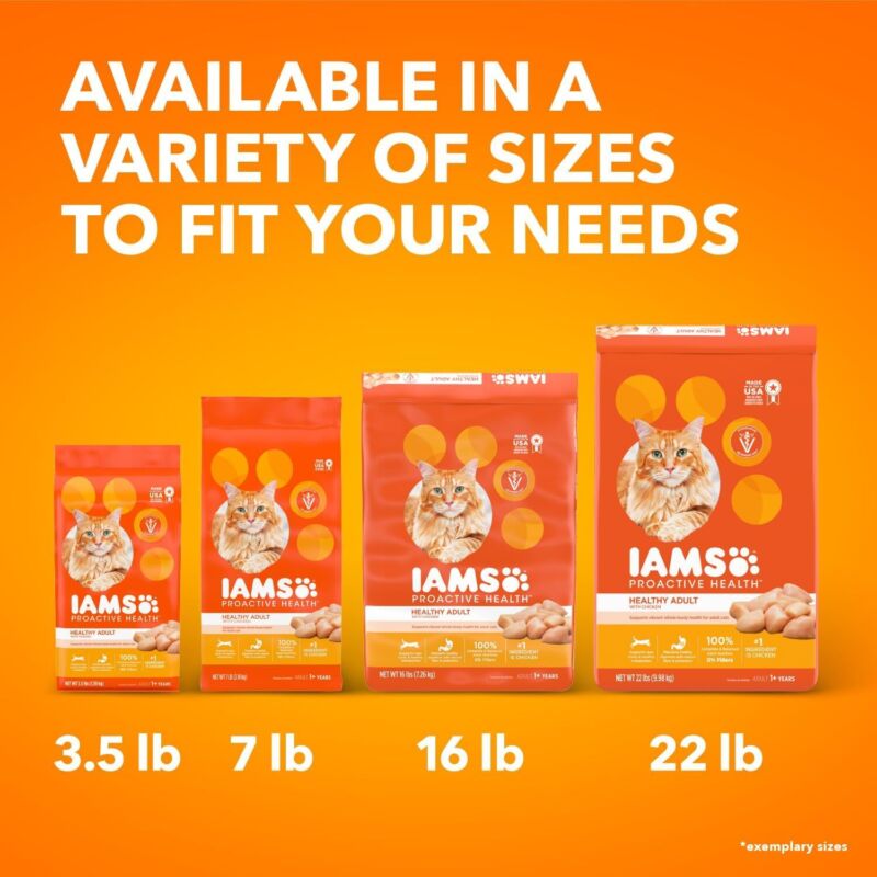 IAMS Proactive Health Healthy Adult Dry Cat Food with Chicken, 22 lb. Bag : Pet Supplies