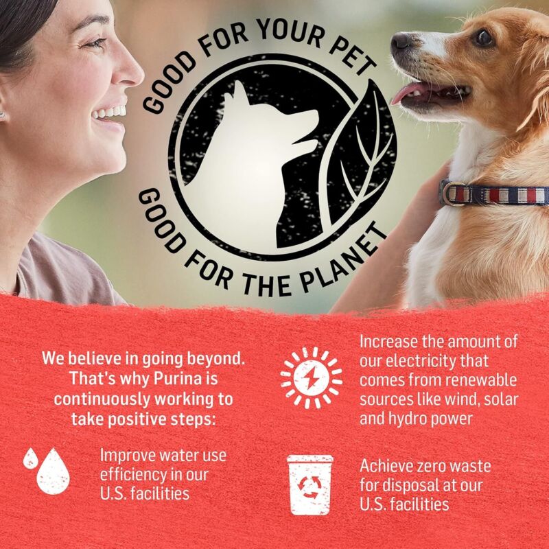 Purina Beyond Chicken, Beef and Cod Ground Entree Grain Free Wet Dog Food Variety Pack - (2 Packs of 6) 13 oz. Cans: Pet Supplies: Amazon.com