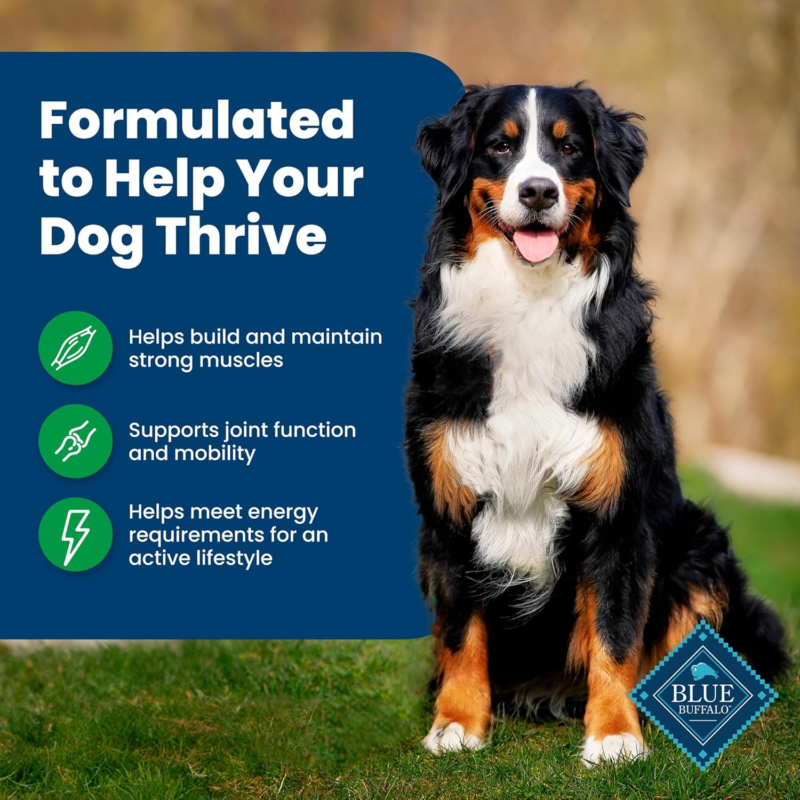 Blue Buffalo Life Protection Formula Adult Dry Dog Food, Helps Build and Maintain Strong Muscles, Made with Natural Ingredients, Lamb & Brown Rice Recipe, 5-lb. Bag : Pet Supplies