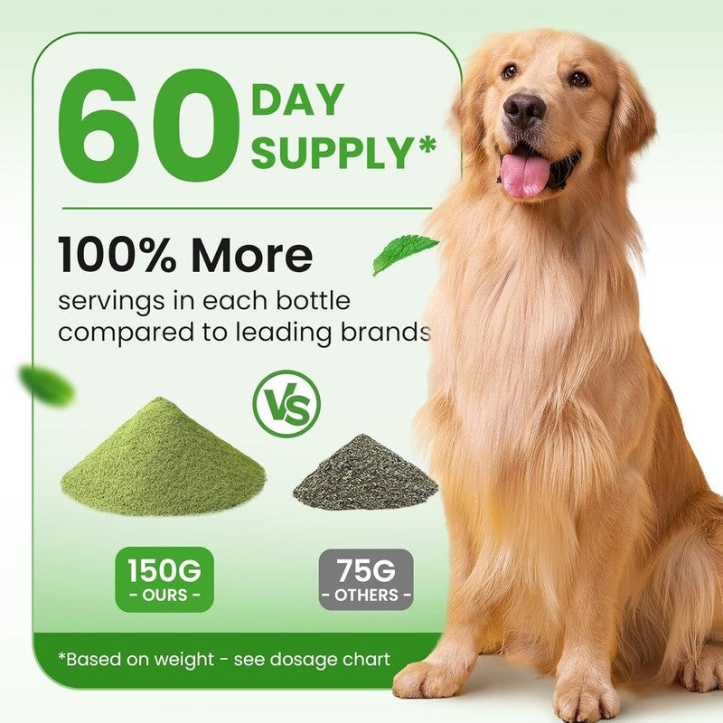 Dog Teeth Cleaning Powder, Dog Dental Powder and Cats Breath Freshener, Plaque Off Pet Tooth Cleaning lab co, Bad Breath & Tartar Remover for Dogs, Dog Teeth Cleaning with Enzymes- 60-Day Supply -Mint : Pet Supplies