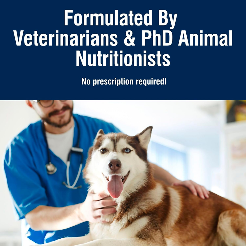 Blue Buffalo True Solutions Active Dog Wet Dog Food for Active Adult Dogs, Made with Natural Ingredients, Chicken, 12.5-oz. Cans (12 Count): Pet Supplies: Amazon.com