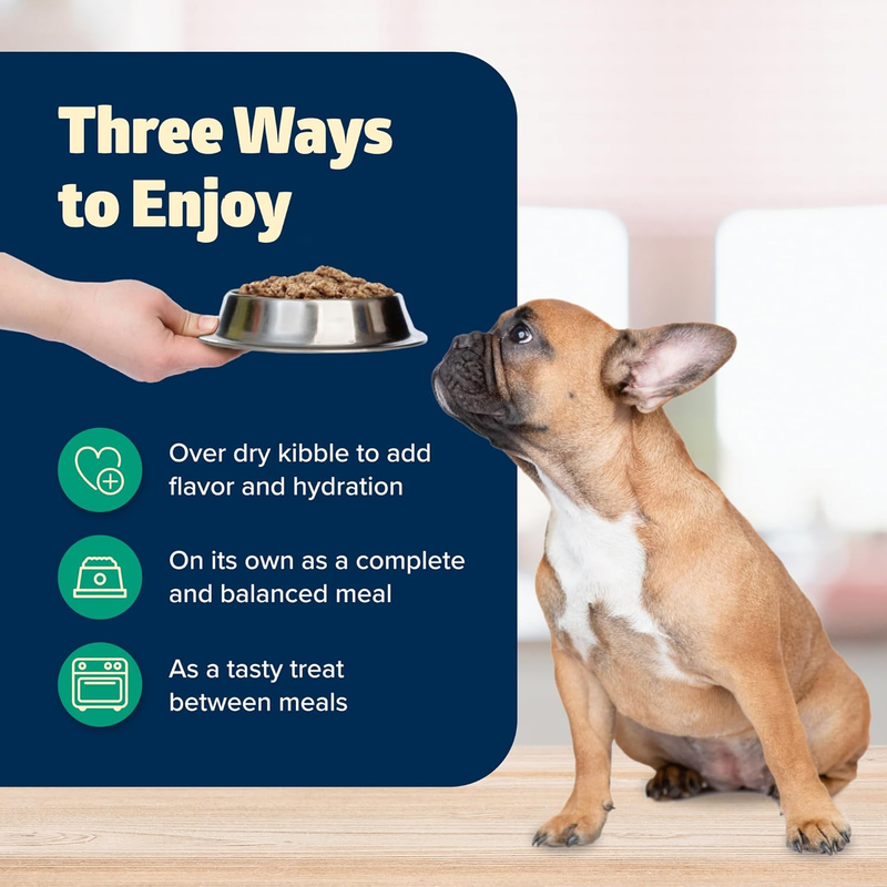 Blue Buffalo Freedom Grain-Free Wet Dog Food, Free of Glutens & Artificial Preservatives, Made with Natural Ingredients, Lamb Recipe, 12.5-oz. Cans (12 Count)