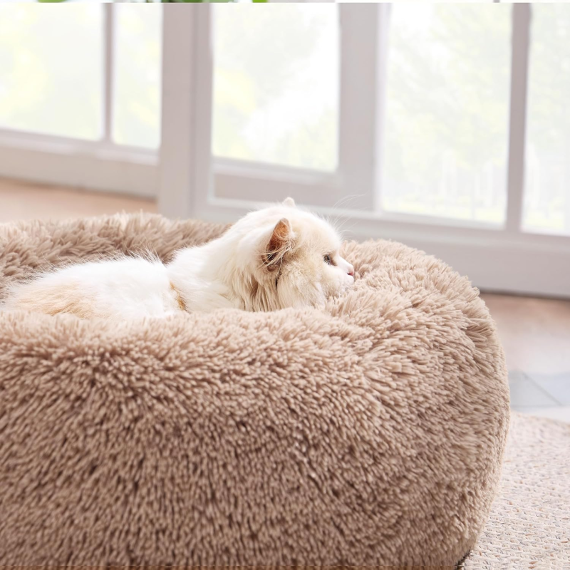 Bedsure Calming Cat Beds for Indoor Cats - Small Cat Bed Washable 20 inches, Anti-Slip Round Fluffy Plush Faux Fur Pet Bed, Fits up to 15 lbs Pets, Camel : Pet Supplies