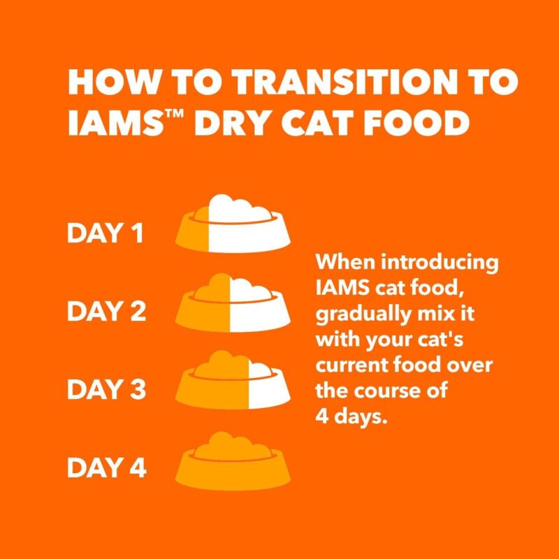 IAMS Proactive Health Healthy Adult Dry Cat Food with Chicken, 22 lb. Bag : Pet Supplies