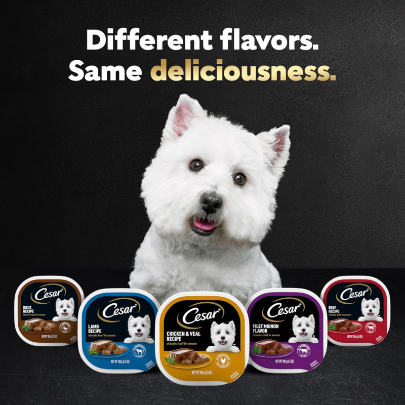 CESAR Puppy Wet Dog Food Classic Loaf in Sauce Chicken & Beef Recipe, (24) 3.5 oz. Easy Peel Trays: Canned Wet Pet Food: Pet Supplies: Amazon.com