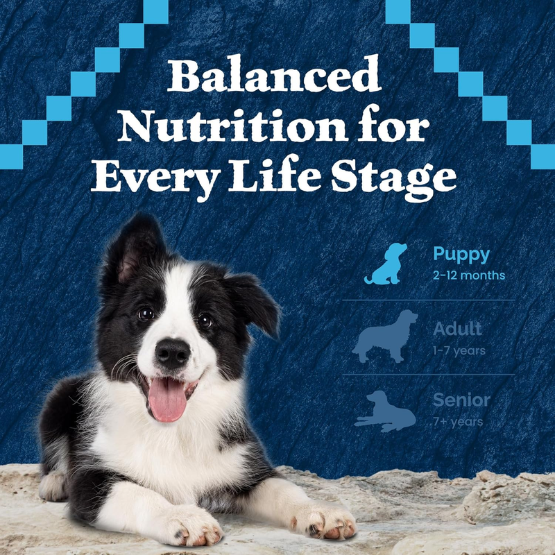 Blue Buffalo Wilderness High-Protein Rocky Mountain Recipe Dry Food for Puppies, Red Meat & Grains, 4.5-lb Bag