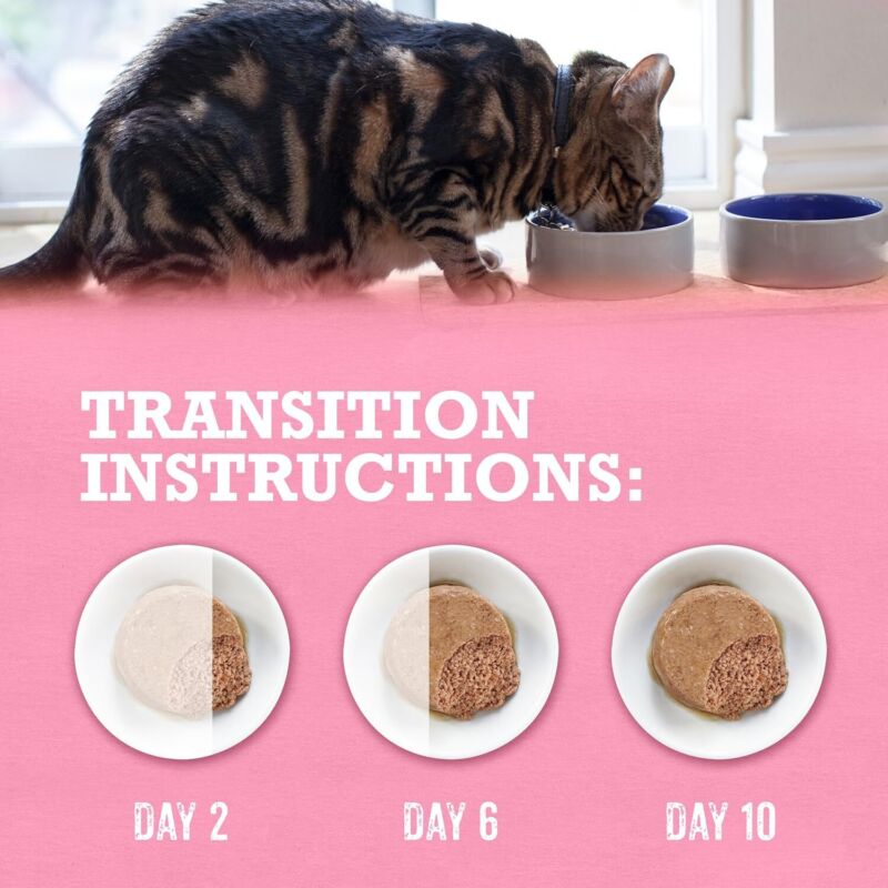 Purina Beyond Wild Salmon Recipe Grain Free Wet Cat Food Pate - (Pack of 12) 3 oz. Cans : Pet Supplies