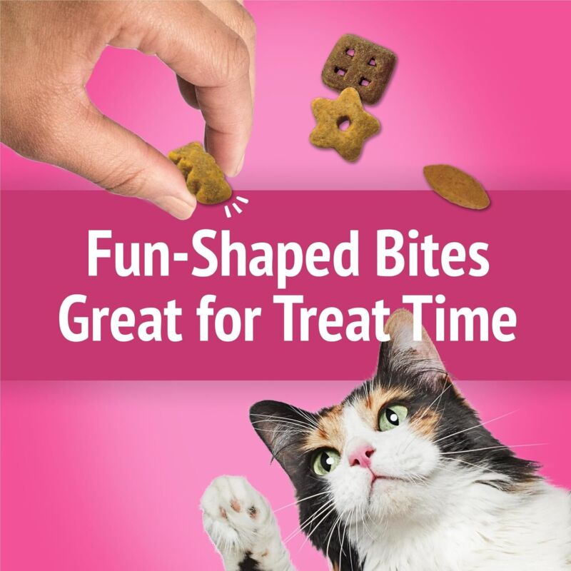 Purina Friskies Cat Treats, Party Mix California Crunch With Chicken - (Pack of 6) 6 oz. Pouches : Pet Supplies