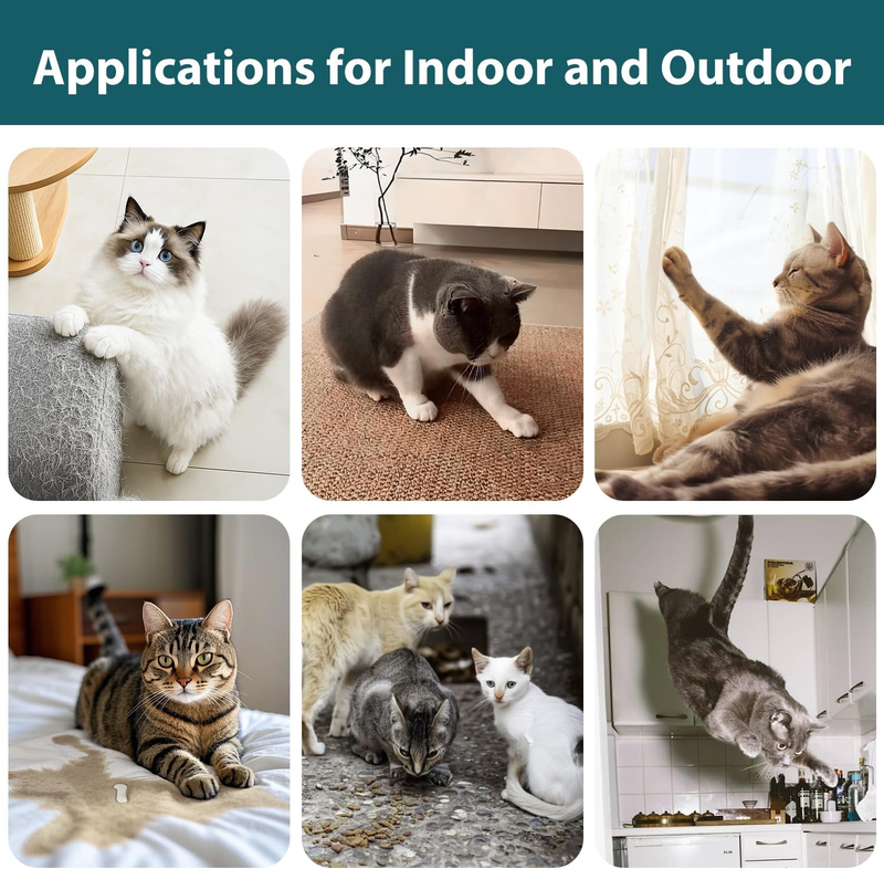 Acctndok Enhanced Cat Deterrent Spray, Natural Safe Cat Repellent Indoor and Outdoor, Effective Cat Scratch Deterrent Training Aid for Furniture, Sofas, Rugs, Curtain Protection (Citrus) : Pet Supplies