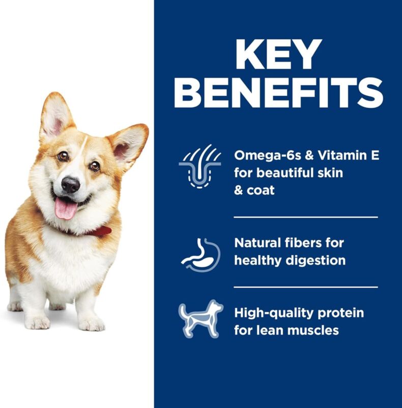 Hill's Science Diet Adult 1-6, Adult 1-6 Premium Nutrition, Small Kibble, Dry Dog Food, Chicken & Barley, 5 lb Bag : Pet Supplies