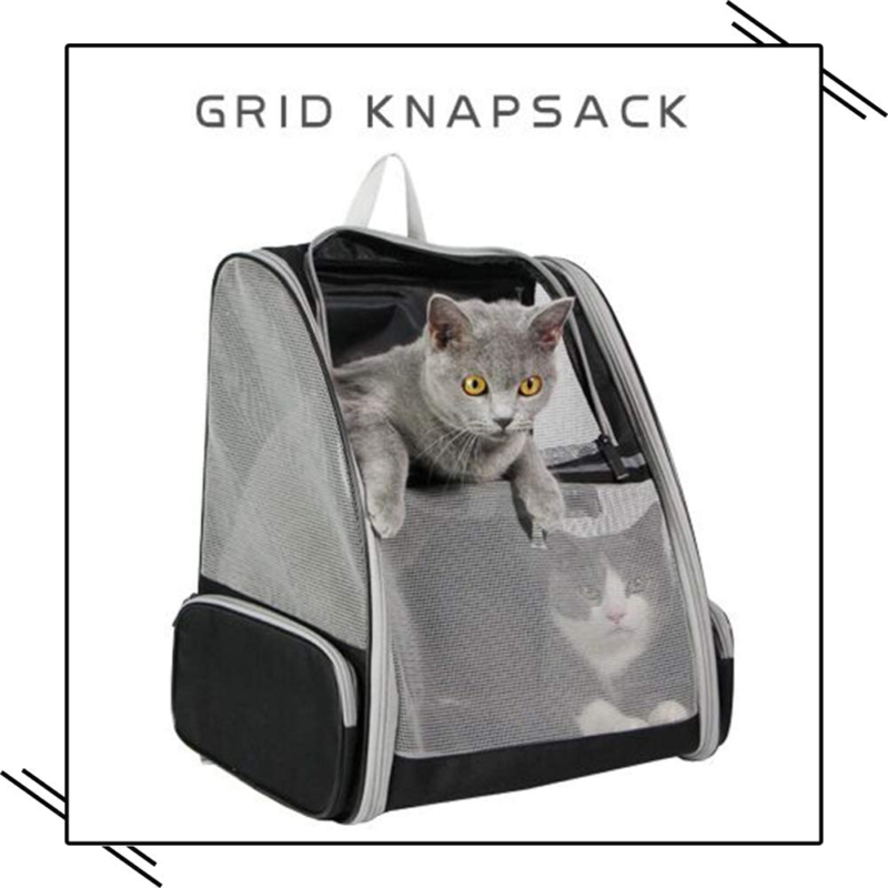 Texsens Innovative Traveler Bubble Backpack Pet Carriers for Cats and Dogs (Black) : Pet Supplies