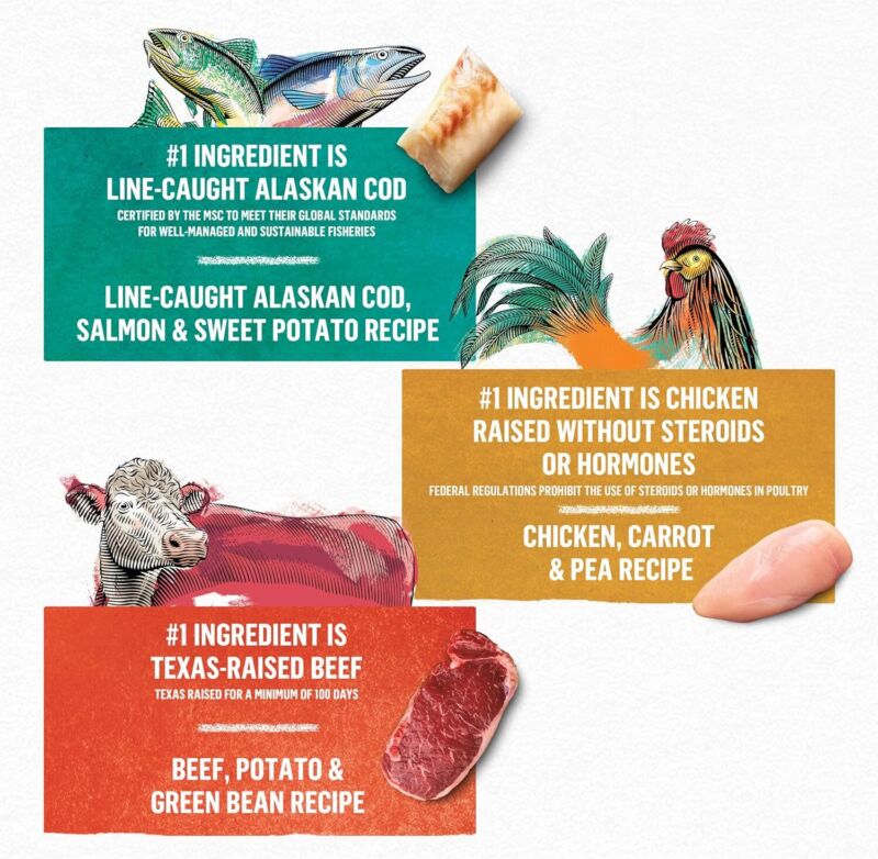 Purina Beyond Chicken, Beef and Cod Ground Entree Grain Free Wet Dog Food Variety Pack - (2 Packs of 6) 13 oz. Cans: Pet Supplies: Amazon.com