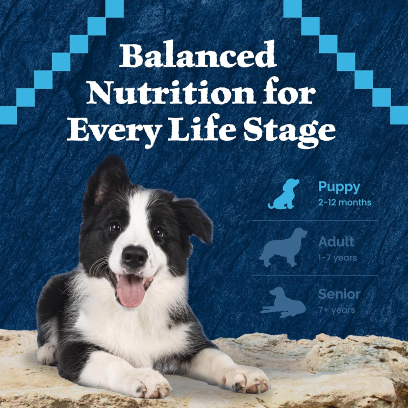 Blue Buffalo Wilderness Natural High-Protein Dry Food for Large Breed Puppies, with Wholesome Grains, Chicken, 28-lb bag. : Home & Kitchen