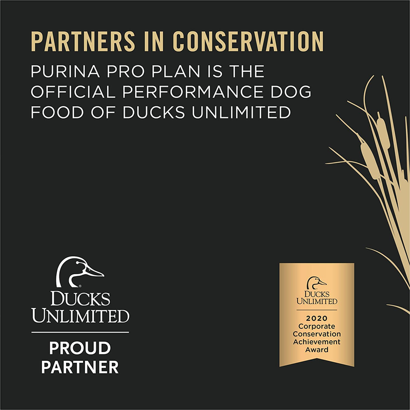 Purina Pro Plan Sport Performance 30/20 Turkey, Duck & Quail Formula Dry Dog Food - 6 lb. Bag : Pet Supplies