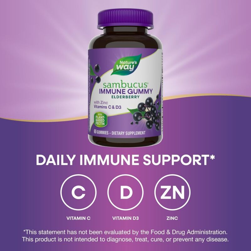 Nature’s Way Sambucus Elderberry Immune Gummies, Daily Immune Support for Kids and Adults*, with Vitamin C, Vitamin D3, Zinc, Gluten Free, Vegetarian, 60 Gummies (Packaging May Vary) : Health & Household