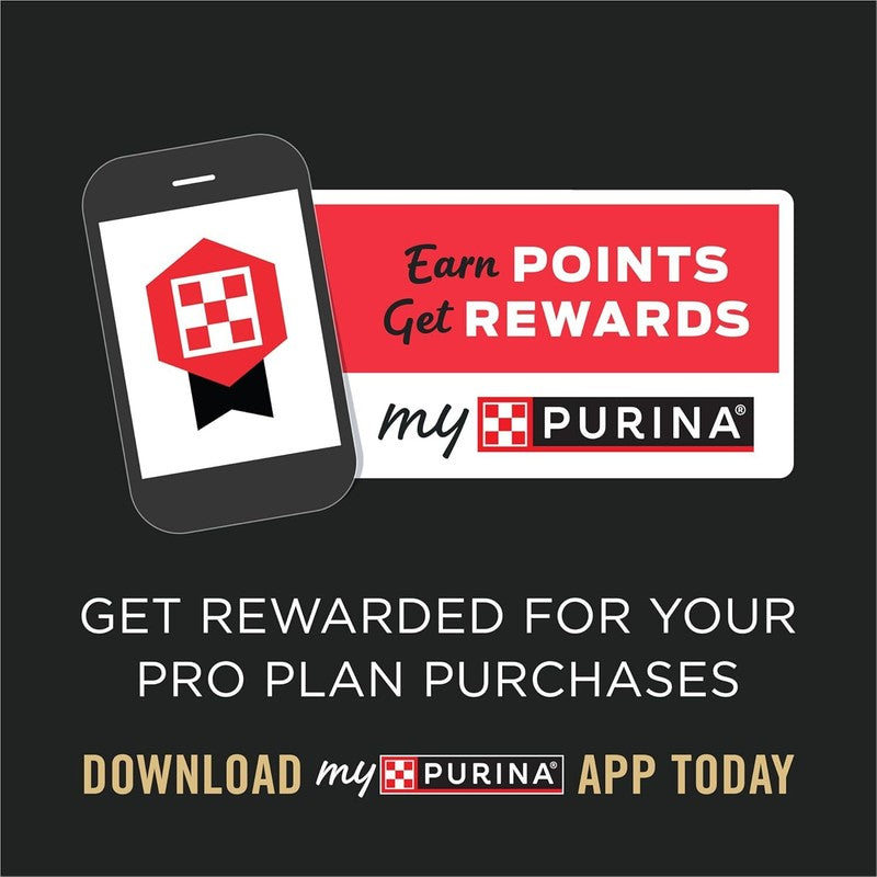 Purina Pro Plan High Protein Puppy Food DHA Lamb & Rice Formula - 34 lb. Bag : Dry Pet Food : Pet Supplies