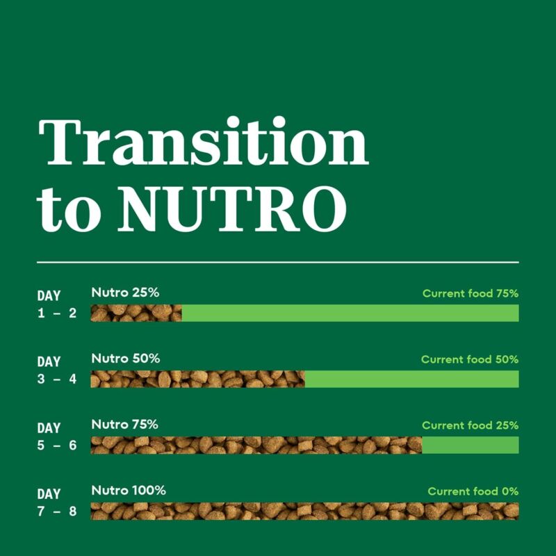 Nutro Wholesome Essentials Adult Dry Cat Food, Salmon & Brown Rice Recipe, 3 lbs. : Pet Supplies