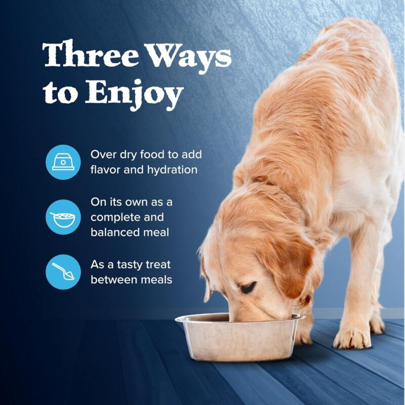 Blue Buffalo Wilderness Adult Wet Dog Food, High-Protein & Grain-Free, Made with Natural Ingredients, Turkey & Chicken Grill, 12.5-oz. Cans (12 Count): Pet Supplies: Amazon.com