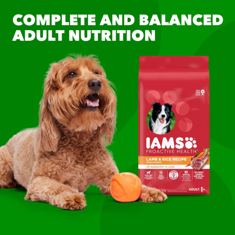 IAMS Proactive Health Minichunks Adult Dry Dog Food with Lamb & Rice, 30 lb. Bag : Pet Supplies