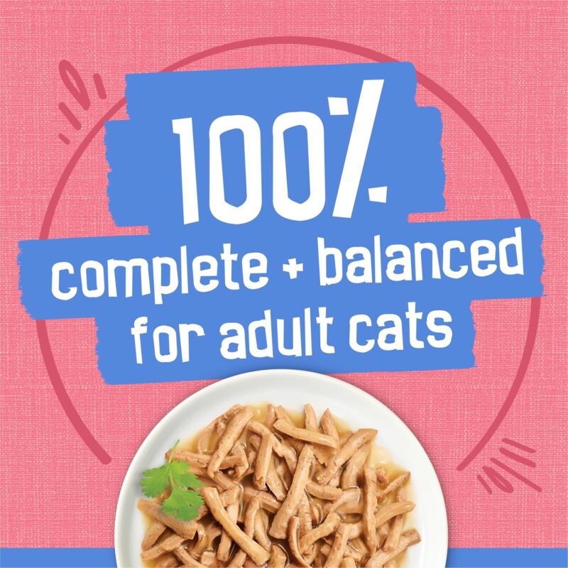 Purina Friskies Shreds With Salmon in Sauce Wet Cat Food - (Pack of 24) 5.5 oz. Cans : Canned Wet Pet Food : Pet Supplies