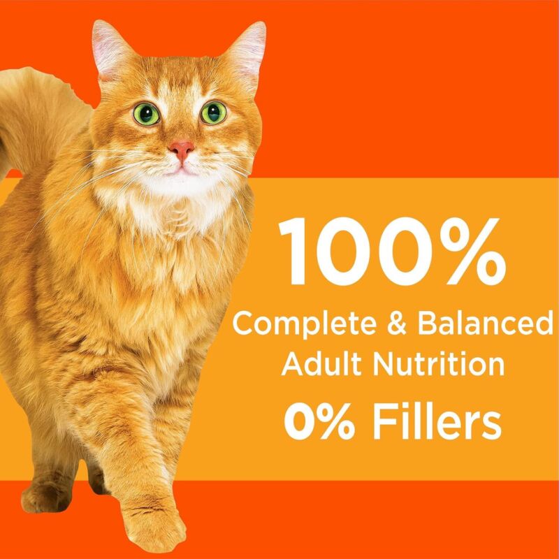 IAMS Proactive Health Healthy Adult with chicken 7lbs : Pet Supplies