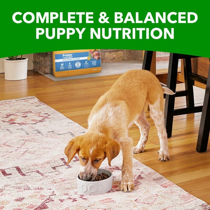 IAMS Smart Puppy Large Breed Dog Food Dry with Real Chicken, 30.6 lb. Bag : Pet Supplies