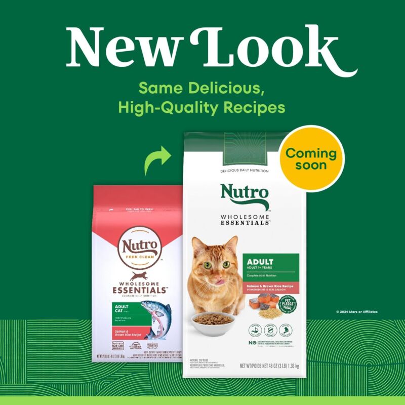 Nutro Wholesome Essentials Adult Dry Cat Food, Salmon & Brown Rice Recipe, 3 lbs. : Pet Supplies