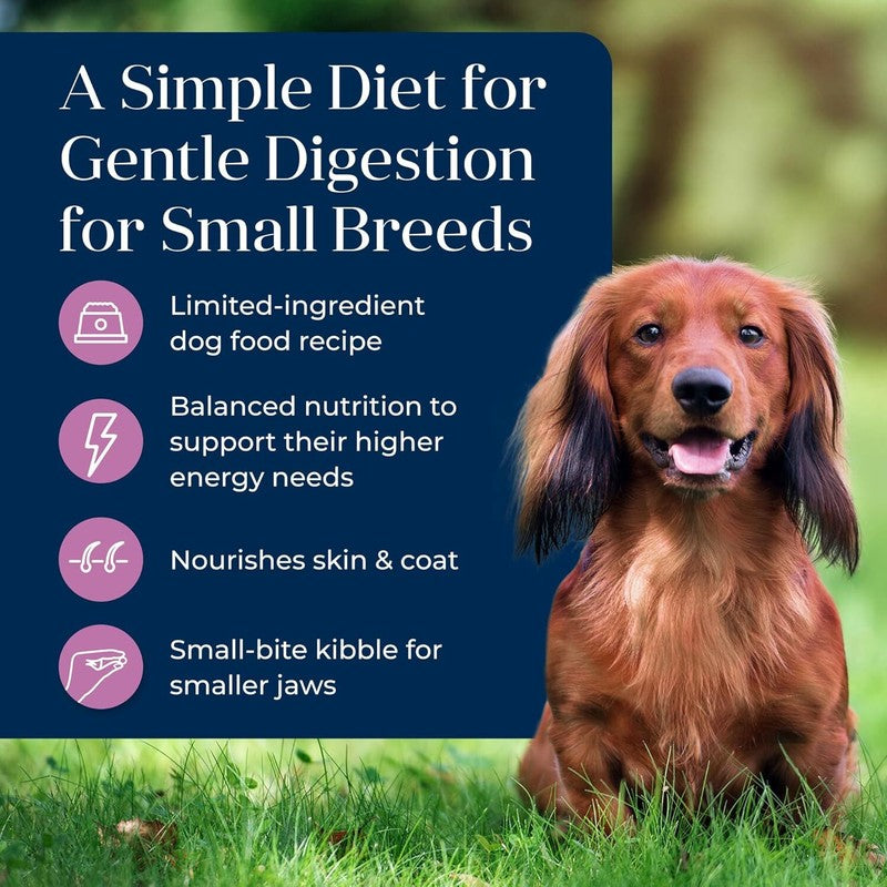 Blue Buffalo Basics Dry Dog Food for Small Breed Adult Dogs, Limited Ingredient Diet, Turkey Recipe, 11-lb. Bag