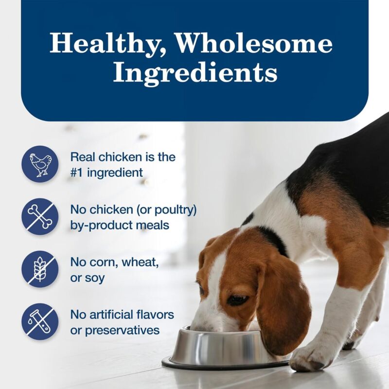 Blue Buffalo Homestyle Recipe Adult Wet Dog Food, Made with Natural Ingredients, Chicken Dinner With Garden Vegetables, 12.5-oz Can (Pack of 12): Pet Supplies: Amazon.com