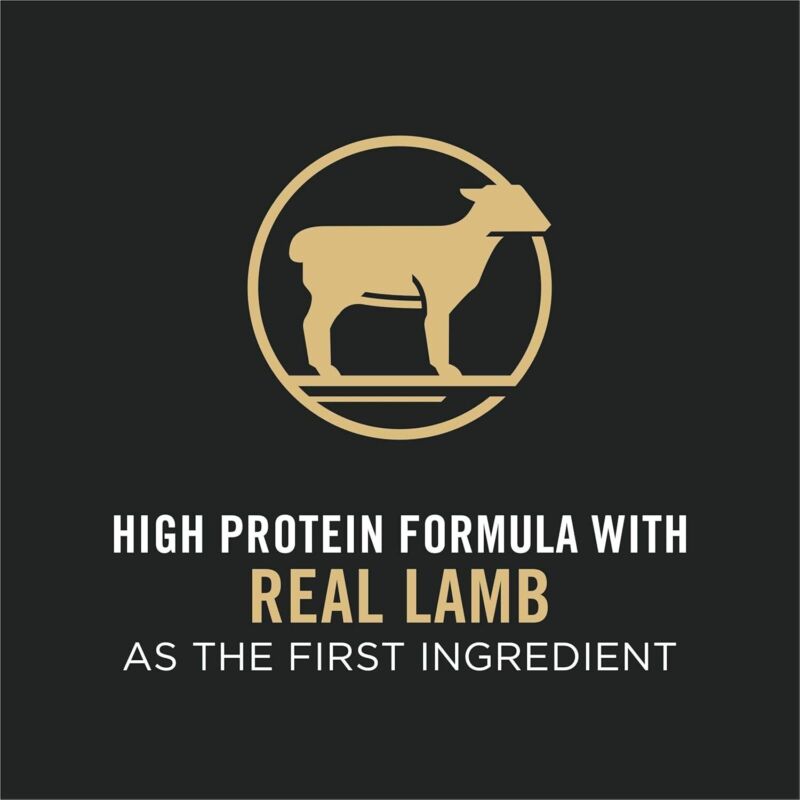 Purina Pro Plan High Protein, Small Bites Dog Food, SPORT 27/17 Lamb & Rice Formula - 37.5 lb. Bag : Pet Supplies