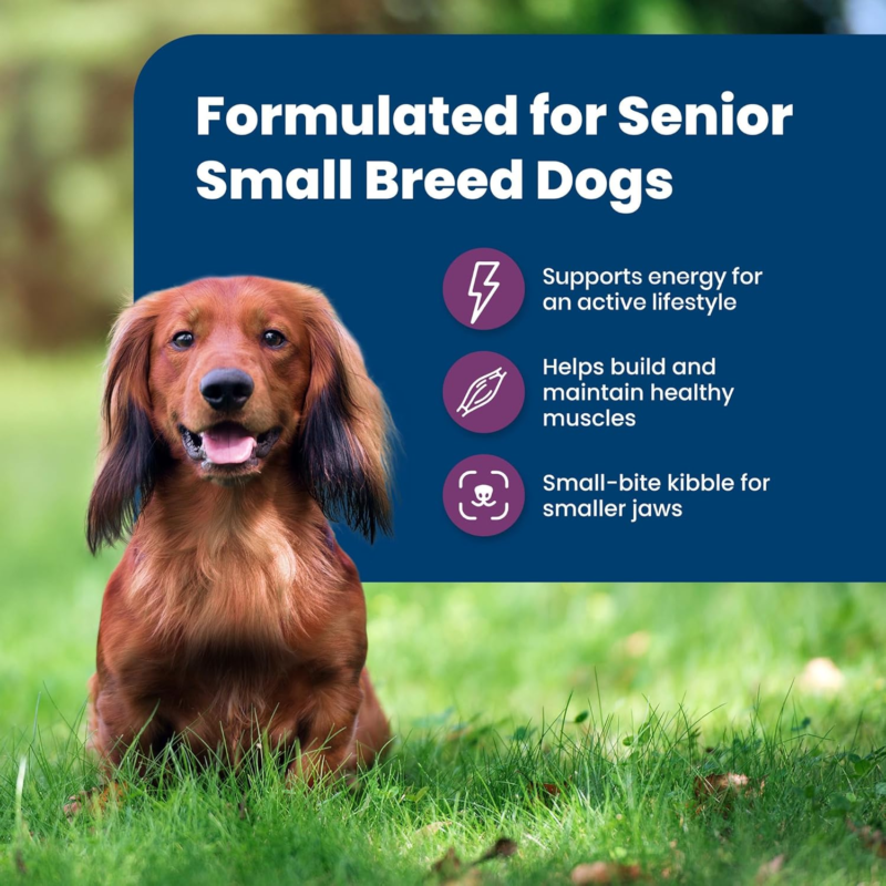 Hill's Science Diet Small & Mini, Senior Adult 7+, Small & Mini Breeds Senior Premium Nutrition, Dry Dog Food, Chicken, Brown Rice, & Barley, 4.5 lb Bag : Pet Supplies