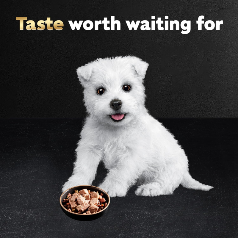 CESAR Puppy Wet Dog Food Classic Loaf in Sauce Chicken & Beef Recipe, (24) 3.5 oz. Easy Peel Trays: Canned Wet Pet Food: Pet Supplies: Amazon.com