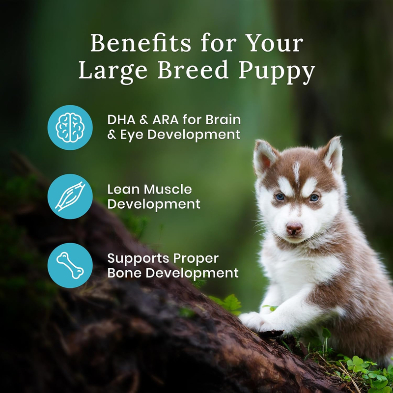 Blue Buffalo Wilderness Natural High-Protein Dry Food for Large Breed Puppies, with Wholesome Grains, Chicken, 28-lb bag. : Home & Kitchen