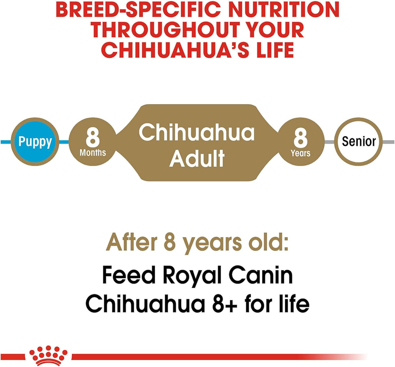 Royal Canin Chihuahua Adult Dry Dog Food, 10 lb bag : Pet Supplies