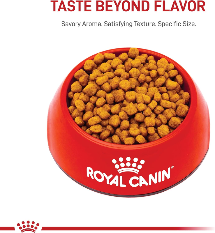 Royal Canin Chihuahua Adult Dry Dog Food, 10 lb bag : Pet Supplies