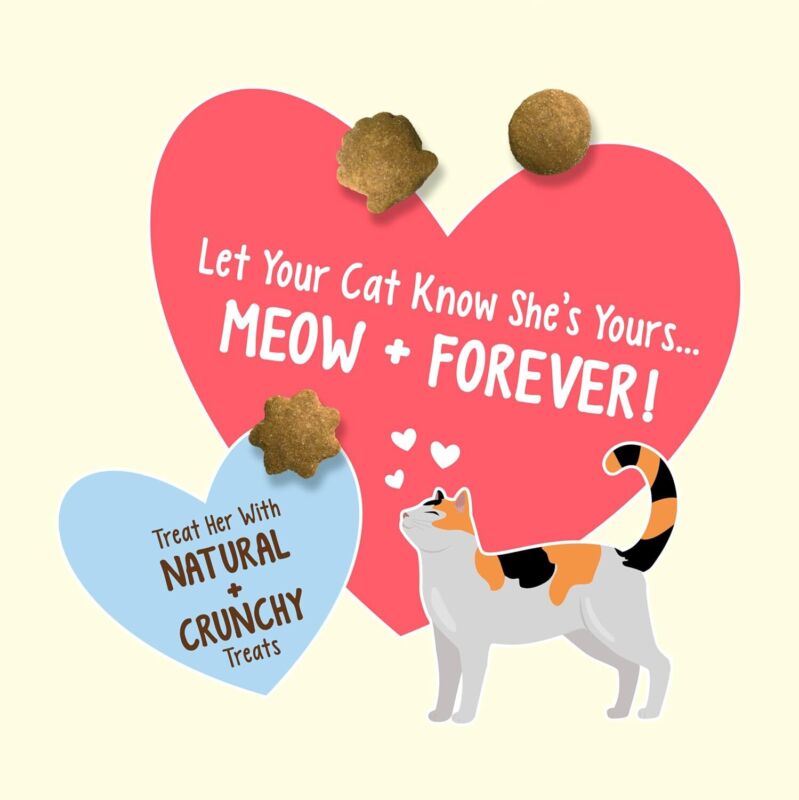 Purina Friskies Natural Cat Treats, Party Mix Natural Yums With Wild Caught Tuna