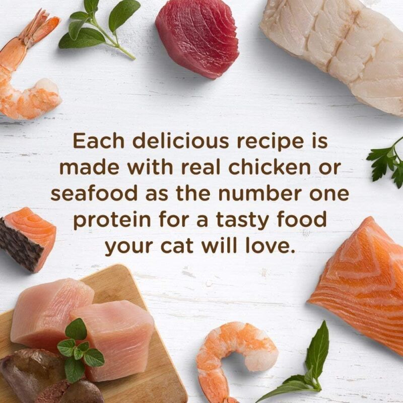 Rachael Ray Nutrish Natural Wet Cat Food, Tuna Purrfection Recipe, 2.8 Ounce Cup (Pack of 12), Grain Free (6303340281) : Pet Supplies