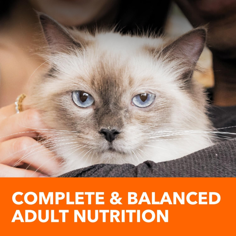 Iams Healthy Enjoyment Dry Cat Food Chicken & Salmon Recipe, 3 lb. Bag