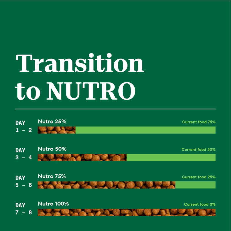 Nutro Natural Choice Adult Dry Dog Food, Lamb and Brown Rice Recipe, 30 lbs. : Pet Supplies