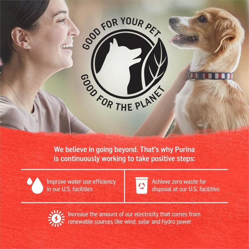 Purina Beyond Chicken, Beef and Cod Ground Entree Grain Free Wet Dog Food Variety Pack - (2 Packs of 6) 13 oz. Cans: Pet Supplies: Amazon.com